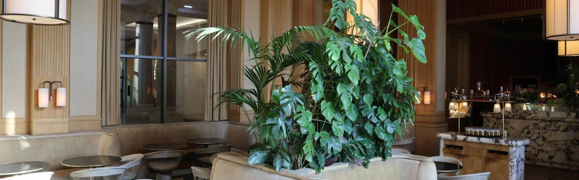 Girafe Paris Plantes