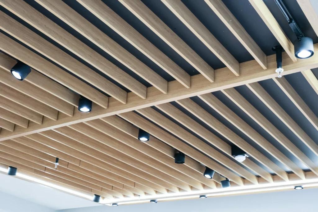 Mango Flagship Zoom Luminaire